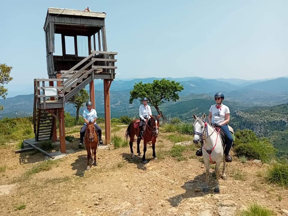 Image Sicile : Le Parc naturel des Madonies à cheval en étoile et en itinérance