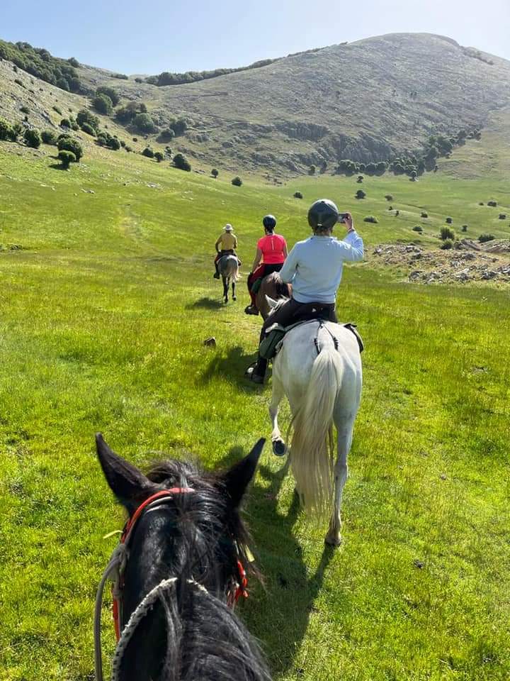 Image Sicile : Le Parc naturel des Madonies à cheval en étoile et en itinérance