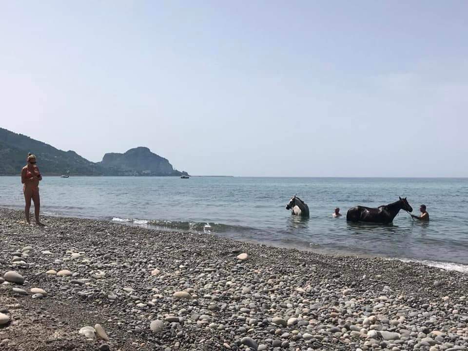 Image Sicile : Le Parc naturel des Madonies à cheval en étoile et en itinérance