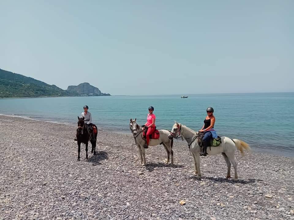 Image Sicile : Le Parc naturel des Madonies à cheval en étoile et en itinérance