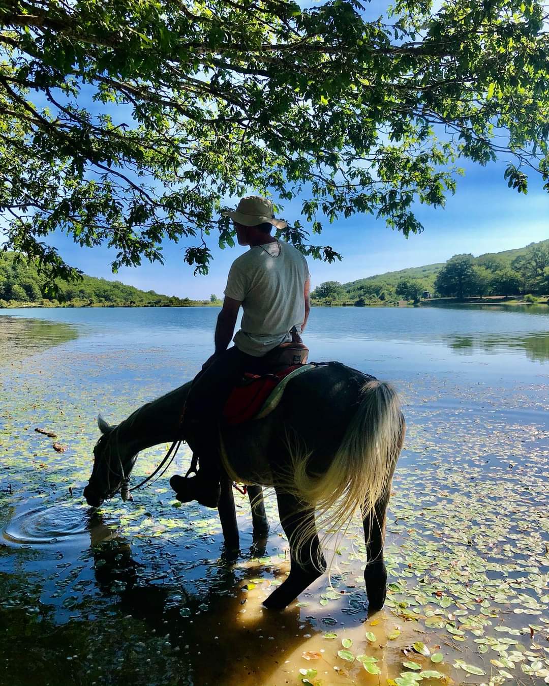 Image Sicile : Le Parc naturel des Madonies à cheval en étoile et en itinérance