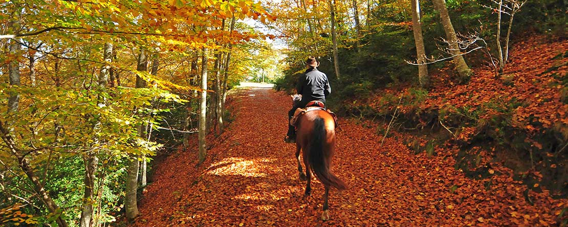 Image Espagne : Sur la piste des bandits à cheval dans les Pyrénées espagnoles