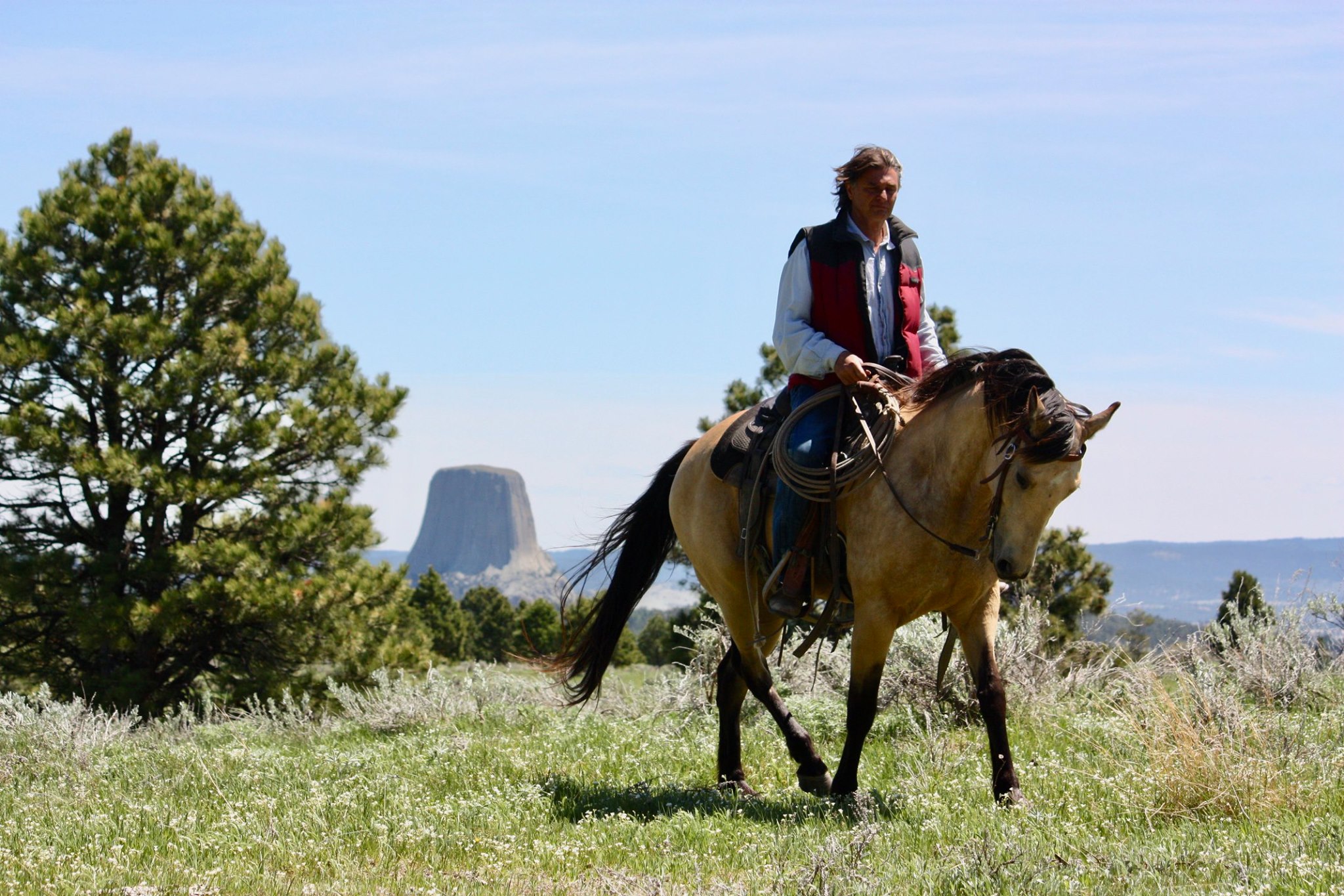 Image Usa : Séjour en ranch et travail du bétail à cheval dans le Wyoming