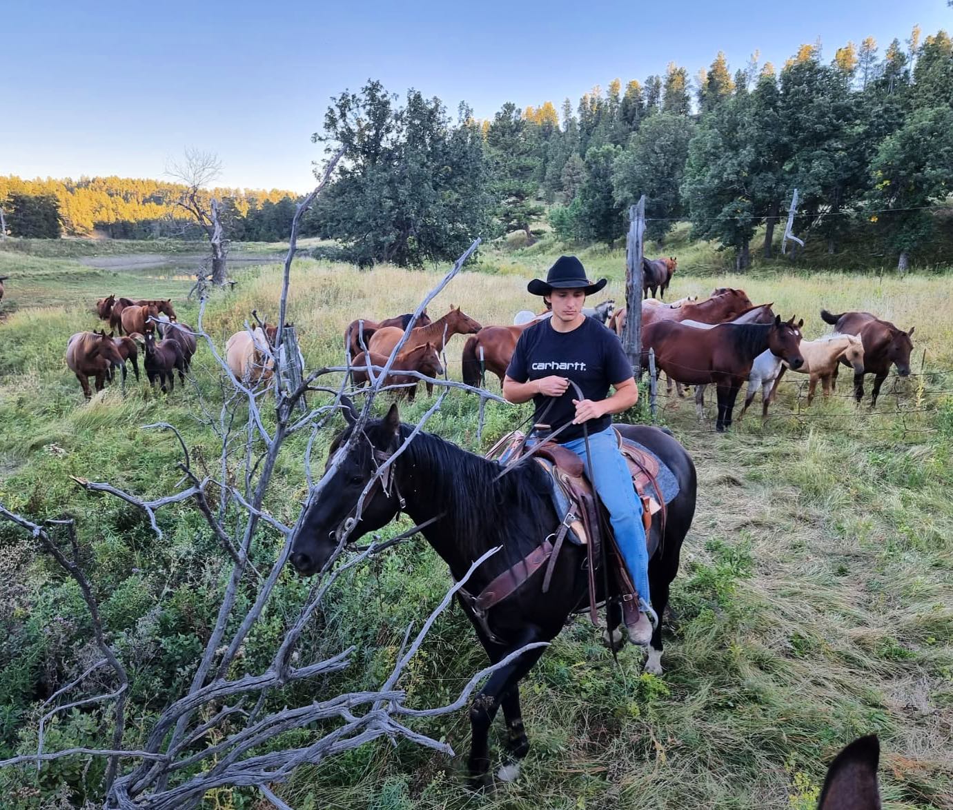 Image Usa : Séjour en ranch et travail du bétail à cheval dans le Wyoming