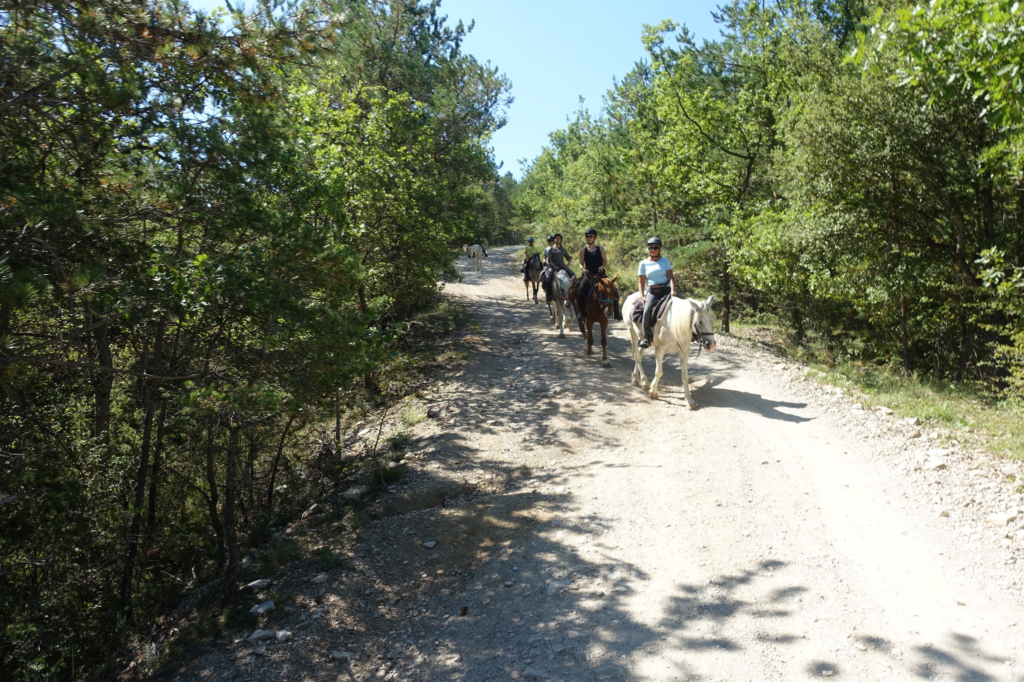 Voyage à cheval en PROVENCE