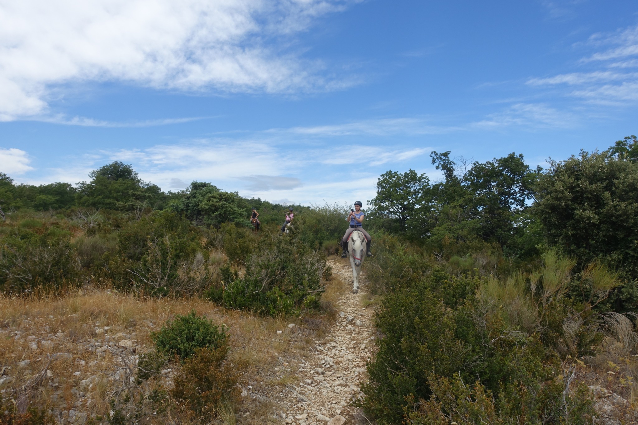 Voyage à cheval en PROVENCE