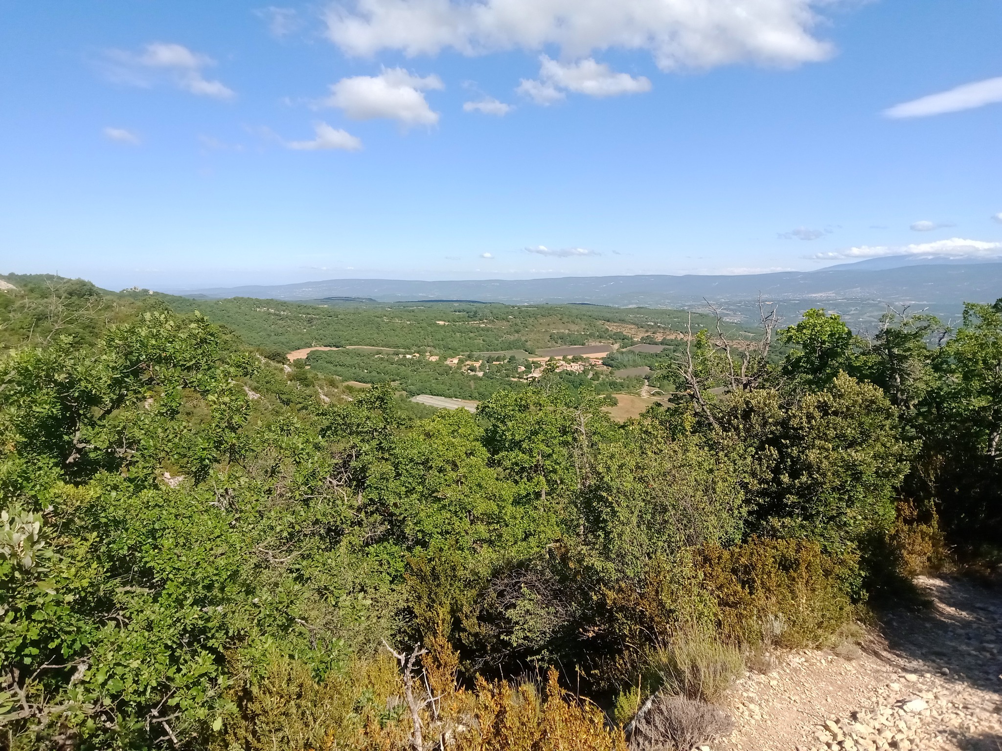 Voyage à cheval en PROVENCE
