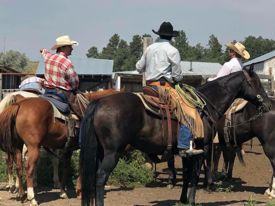 Image Usa : Séjour en ranch et travail du bétail à cheval dans le Wyoming