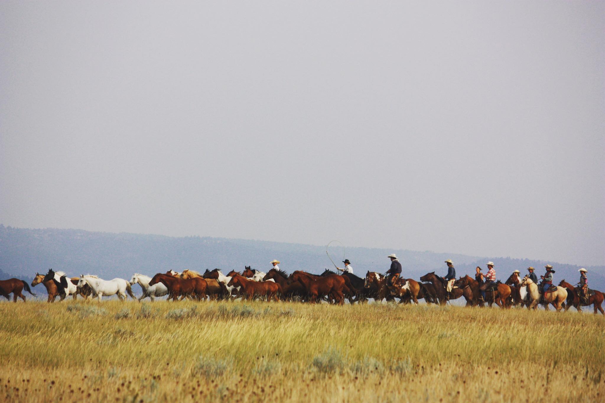 Image Usa : Séjour en ranch et travail du bétail à cheval dans le Wyoming