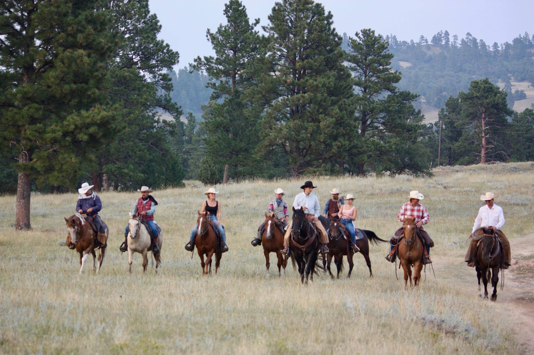 Image Usa : Séjour en ranch et travail du bétail à cheval dans le Wyoming