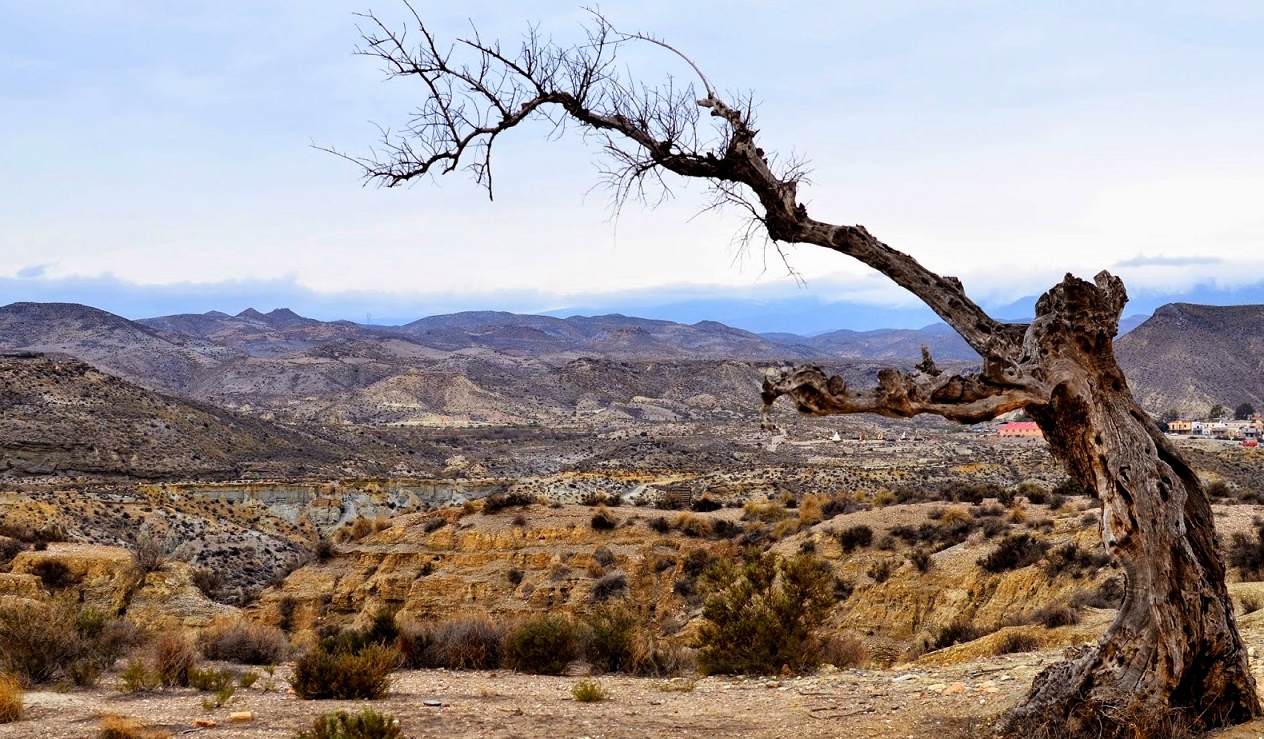 Image Andalousie : Des plages du Cabo de Gata au désert de Tabernas à cheval