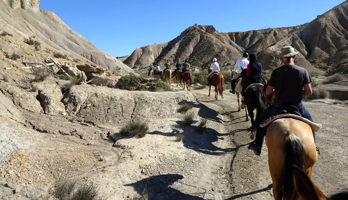 Image Andalousie : Des plages du Cabo de Gata au désert de Tabernas à cheval