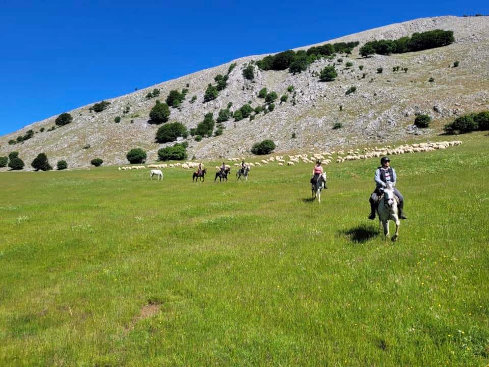 Image Sicile : Le Parc naturel des Madonies à cheval en itinérance