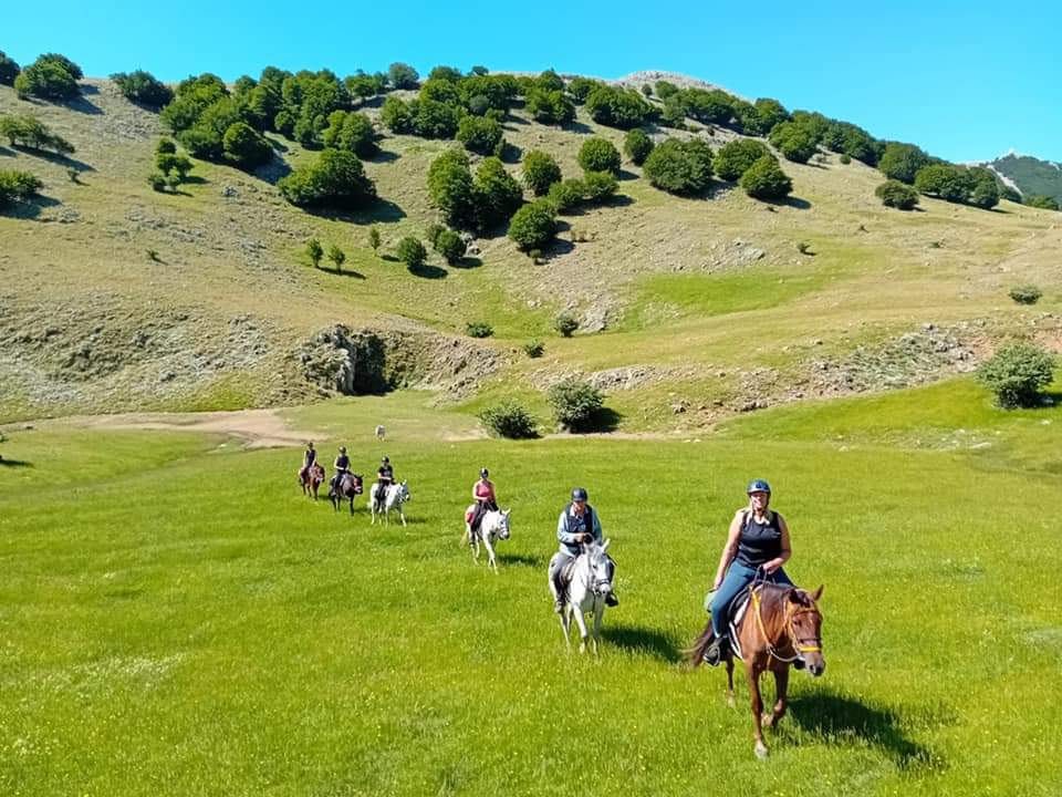 Image Sicile : Le Parc naturel des Madonies à cheval en itinérance