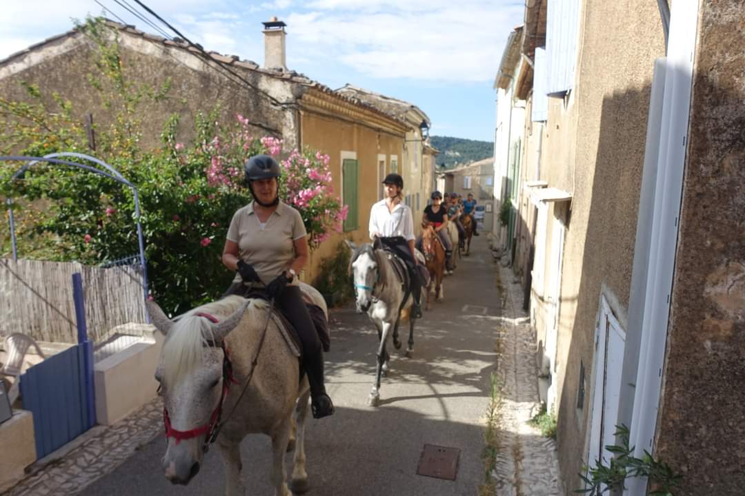Image La route de la lavande, voyage à cheval du Luberon à la Drôme Provençale