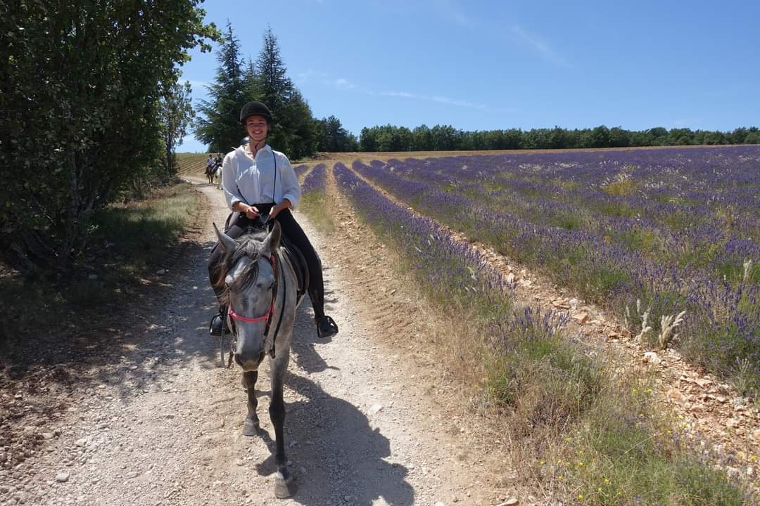 Image La route de la lavande, voyage à cheval du Luberon à la Drôme Provençale