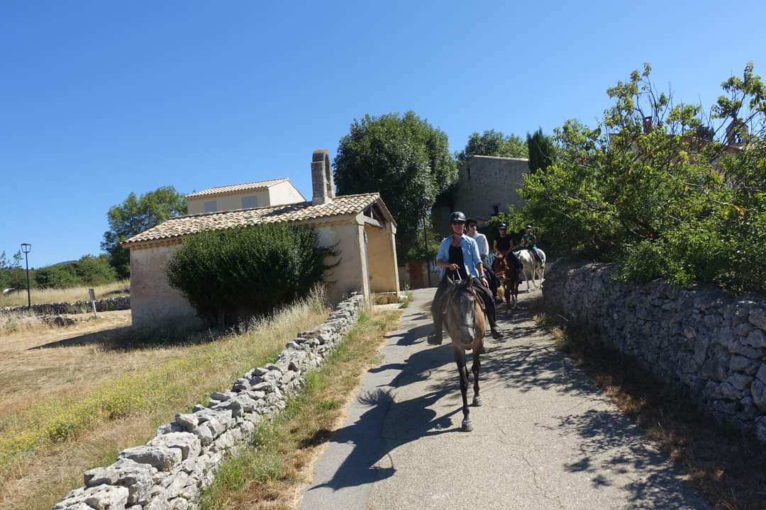 Image La route de la lavande, voyage à cheval du Luberon à la Drôme Provençale