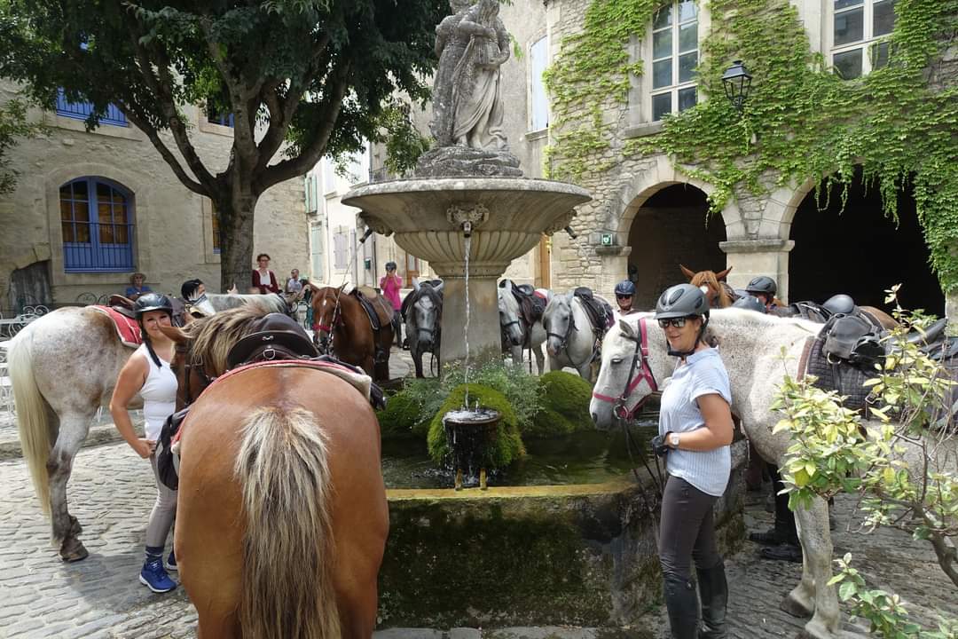 Image La route de la lavande, voyage à cheval du Luberon à la Drôme Provençale