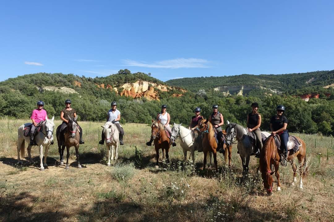 Image La route de la lavande, voyage à cheval du Luberon à la Drôme Provençale