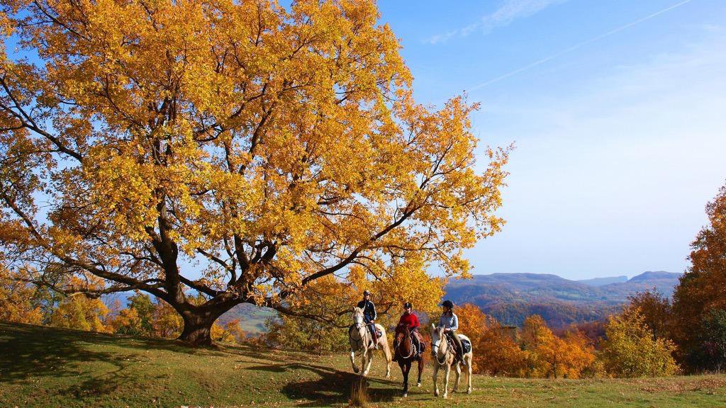 Image Espagne : Sur la piste des bandits à cheval dans les Pyrénées espagnoles