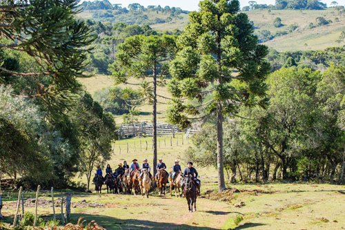 Image Brésil : Randonnée à cheval avec les gauchos