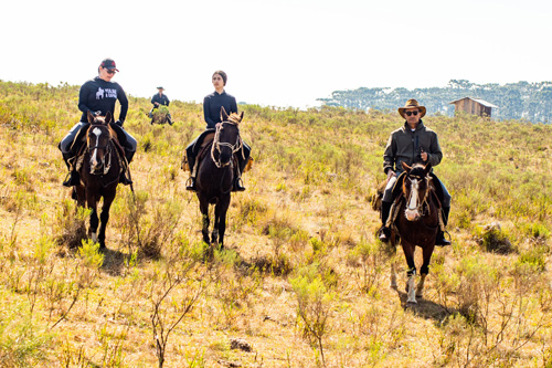 Image Brésil : Randonnée à cheval avec les gauchos