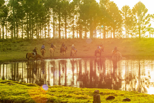 Image Brésil : Randonnée à cheval avec les gauchos