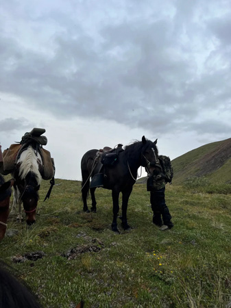 Image Brésil : Randonnée à cheval avec les gauchos