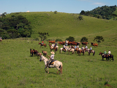 Image Brésil : Randonnée à cheval avec les gauchos