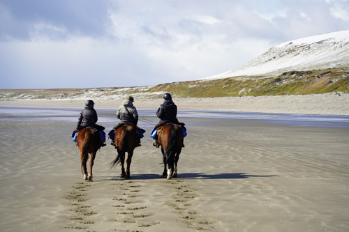Image Argentine : La Patagonie à cheval