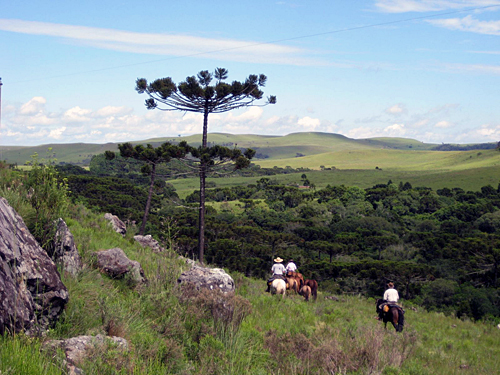 Image Brésil : Randonnée à cheval avec les gauchos
