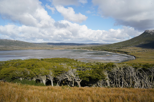 Image Argentine : La Patagonie à cheval
