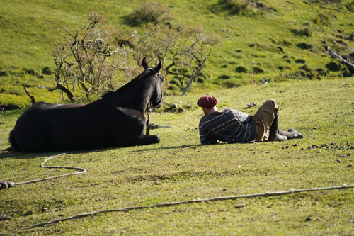 Image Argentine : La Patagonie à cheval