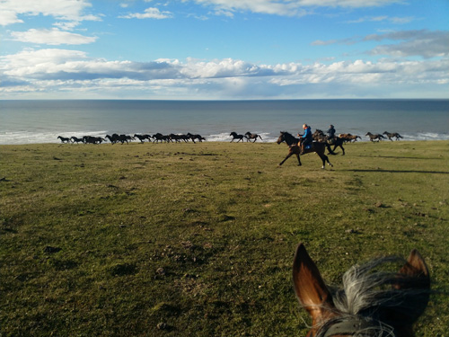 Image Argentine : La Patagonie à cheval