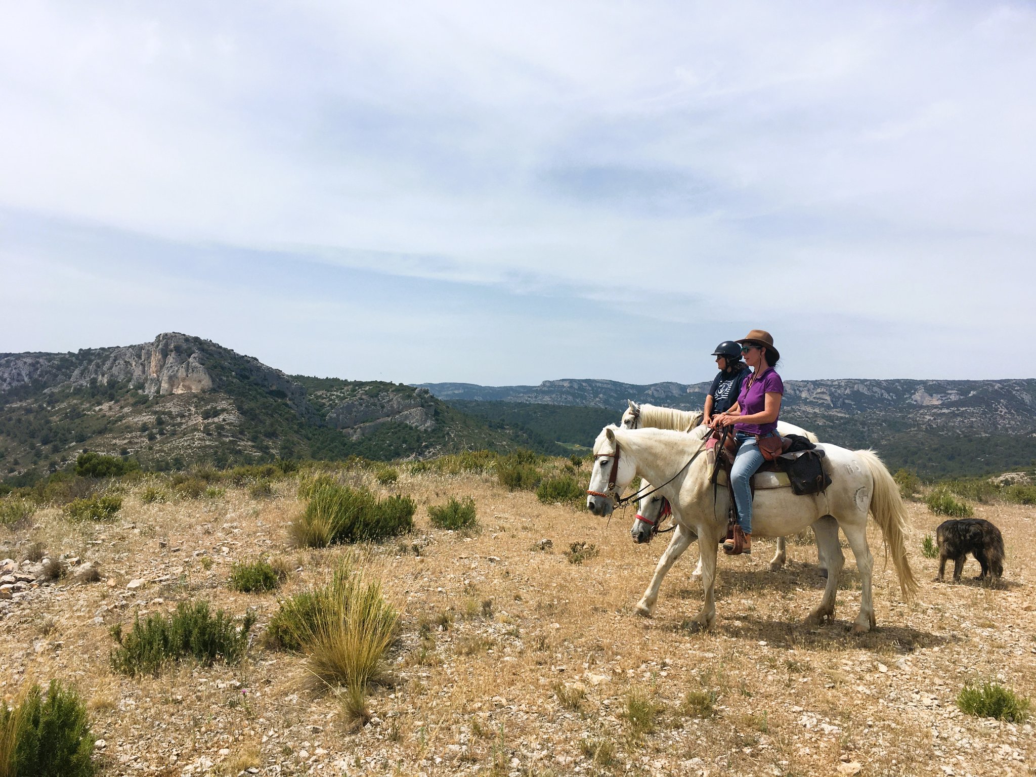 Image Trois jours en rando à cheval entre Durance et Luberon