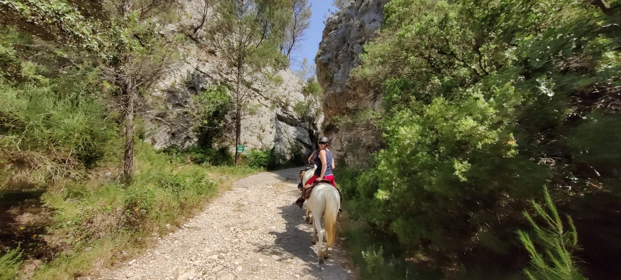 Image Trois jours en rando à cheval entre Durance et Luberon