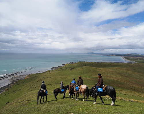 Image Argentine : La Patagonie à cheval