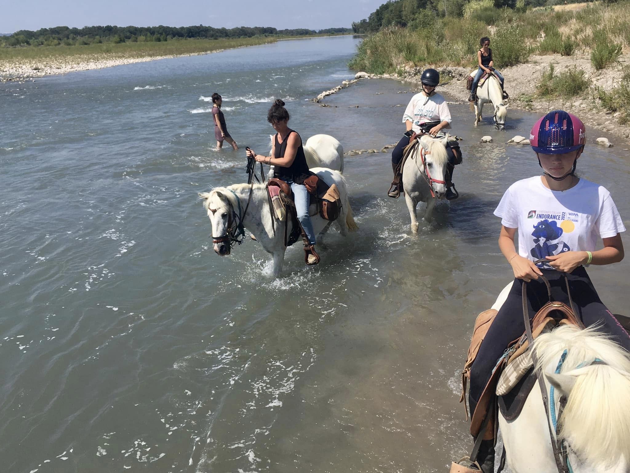 Image Trois jours en rando à cheval entre Durance et Luberon