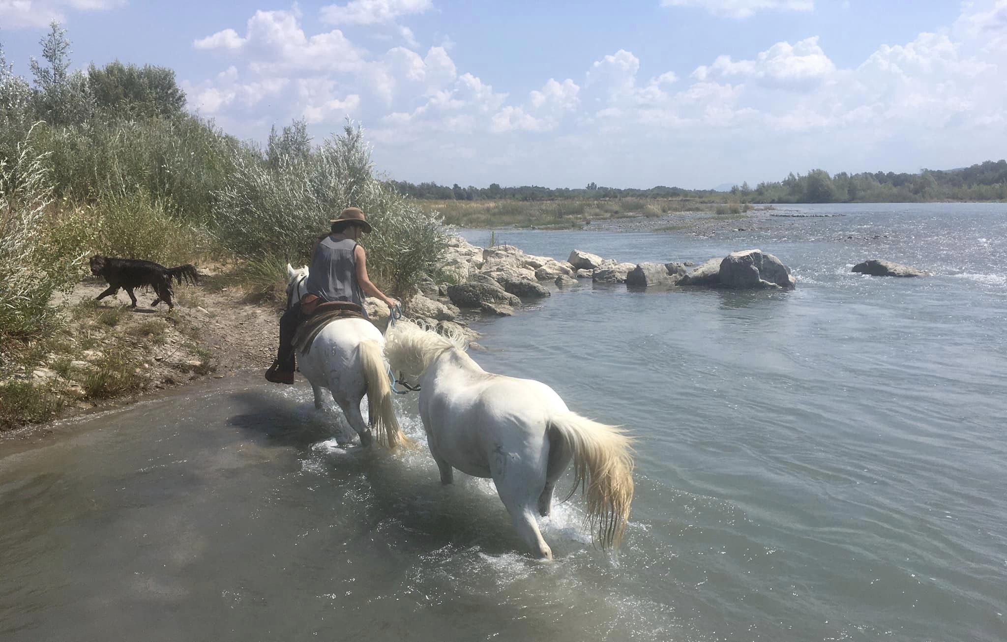 Image Trois jours en rando à cheval entre Durance et Luberon