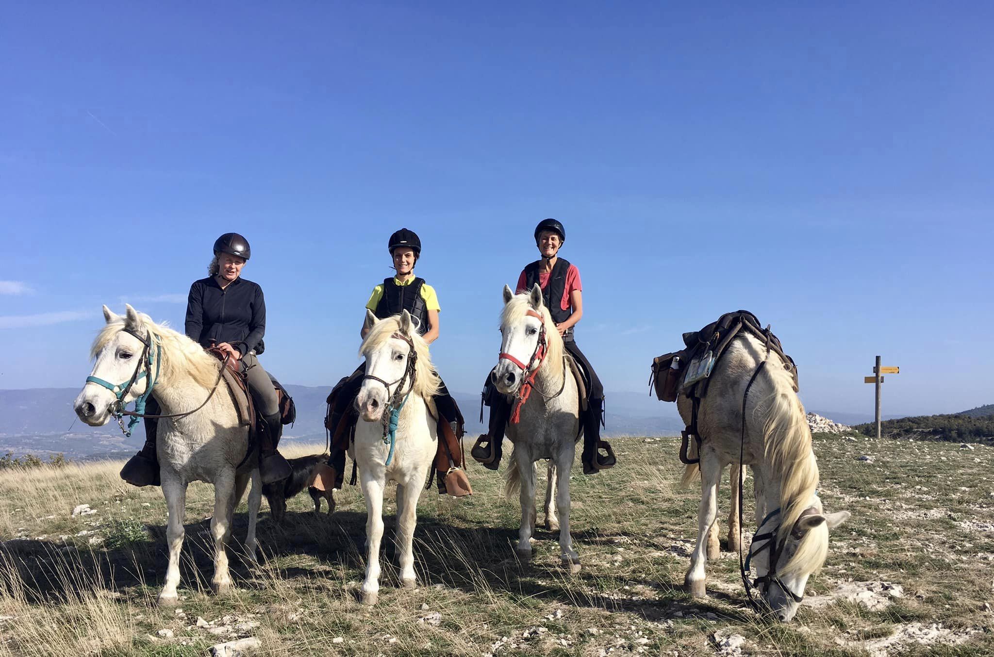 Image Trois jours en rando à cheval entre Durance et Luberon