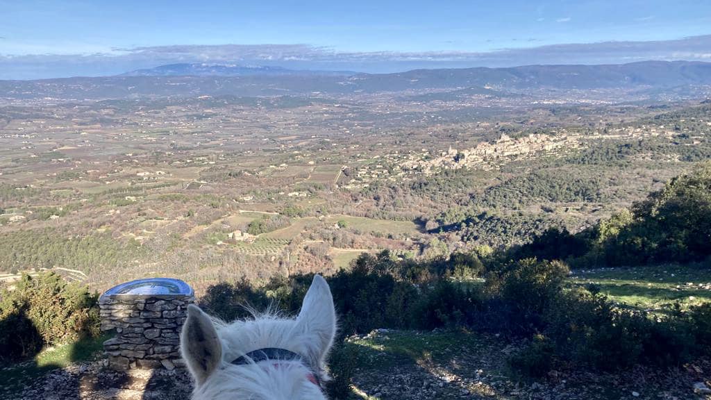 Image Trois jours en rando à cheval entre Durance et Luberon