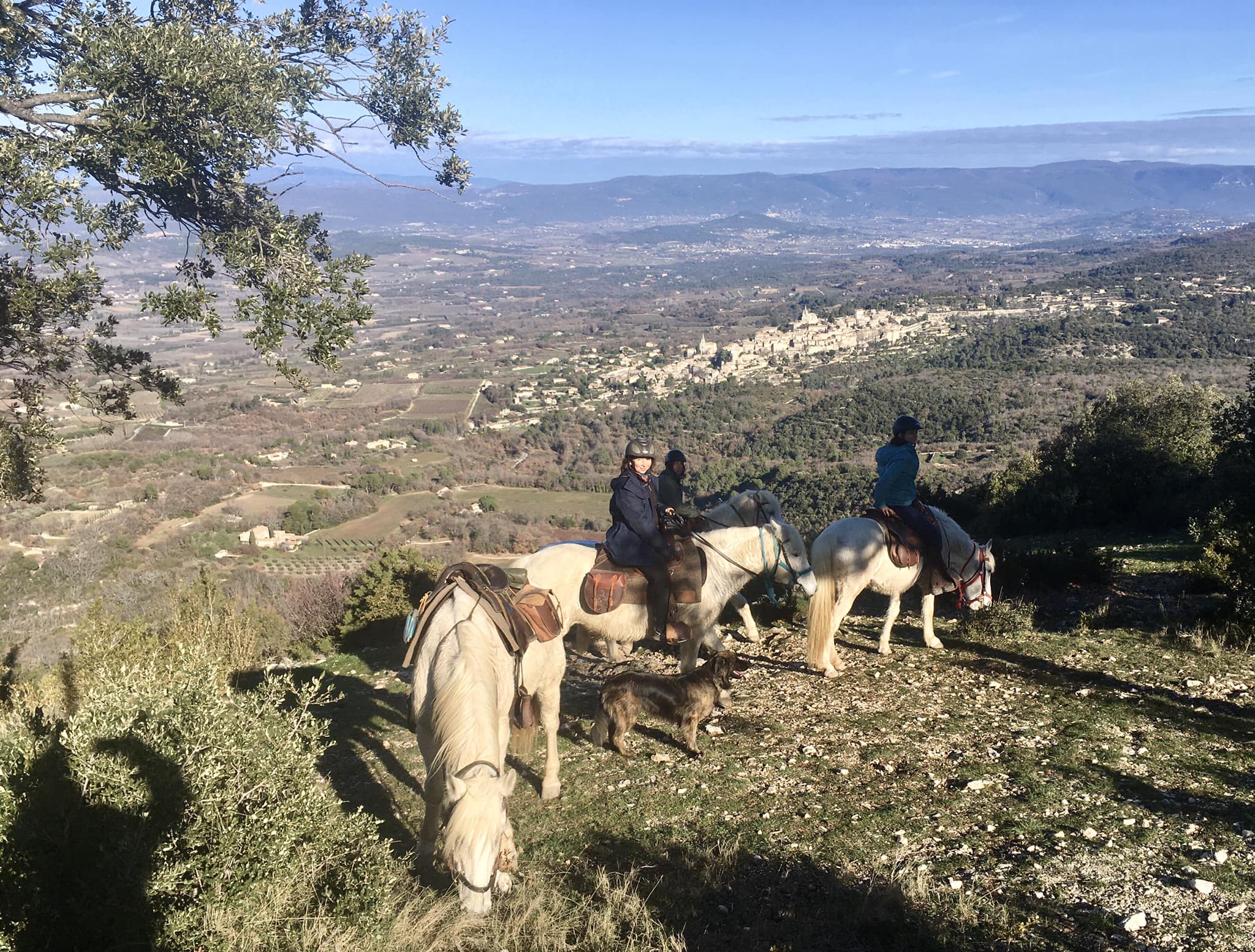 Image Trois jours en rando à cheval entre Durance et Luberon
