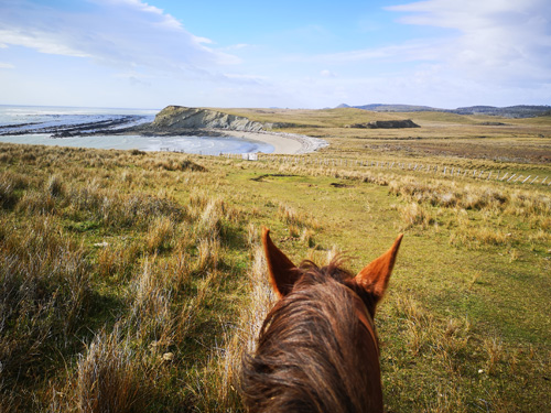 Image Argentine : La Patagonie à cheval