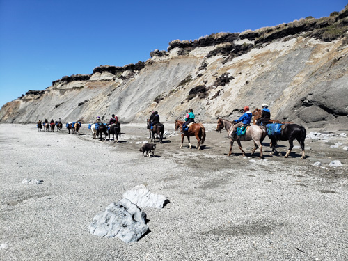 Image Argentine : La Patagonie à cheval