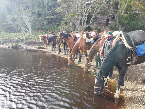 Image Argentine : La Patagonie à cheval