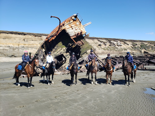Image Argentine : La Patagonie à cheval