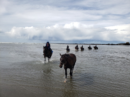 Image Argentine : La Patagonie à cheval