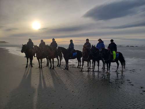 Image Argentine : La Patagonie à cheval