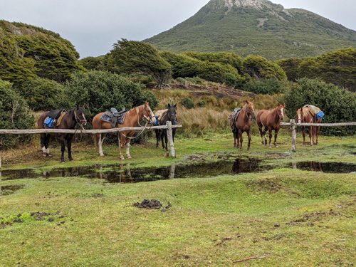 Image Argentine : La Patagonie à cheval