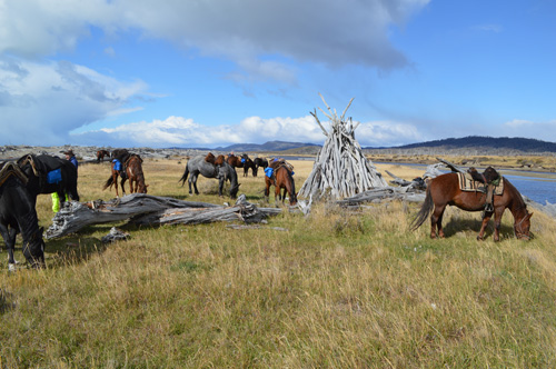 Image Argentine : La Patagonie à cheval